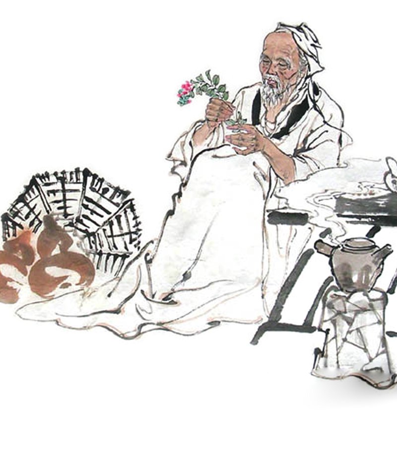 济南中医：传统与现代交织的艺术